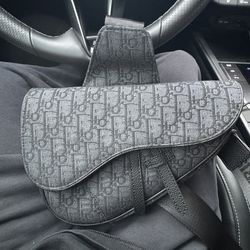 Dior saddle bag