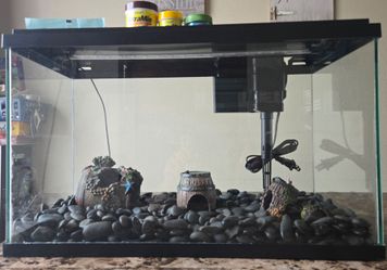10 Gallon Fish Tank Aquarium – $60