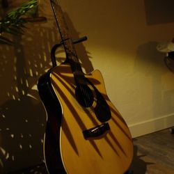 Acoustic Eletric Guitar