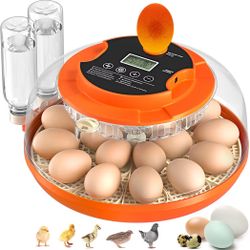 18 Egg Incubator with Automatic Egg Turning and Humidity Control