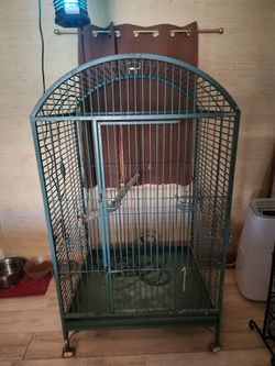 Large parrot cage