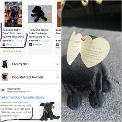 Rare Beanie Baby Luke