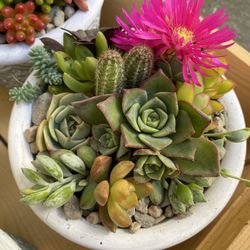 Mother’s Day Gift Idea Succulent Arrangements