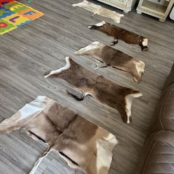 Hide Take All For 100 