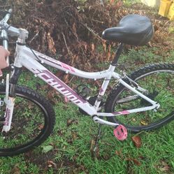 Schwinn Bike