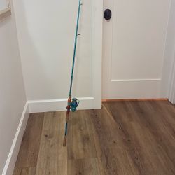 bass Pro Prodigy Fishing Set Up