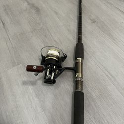 Fishing Rod And Reel