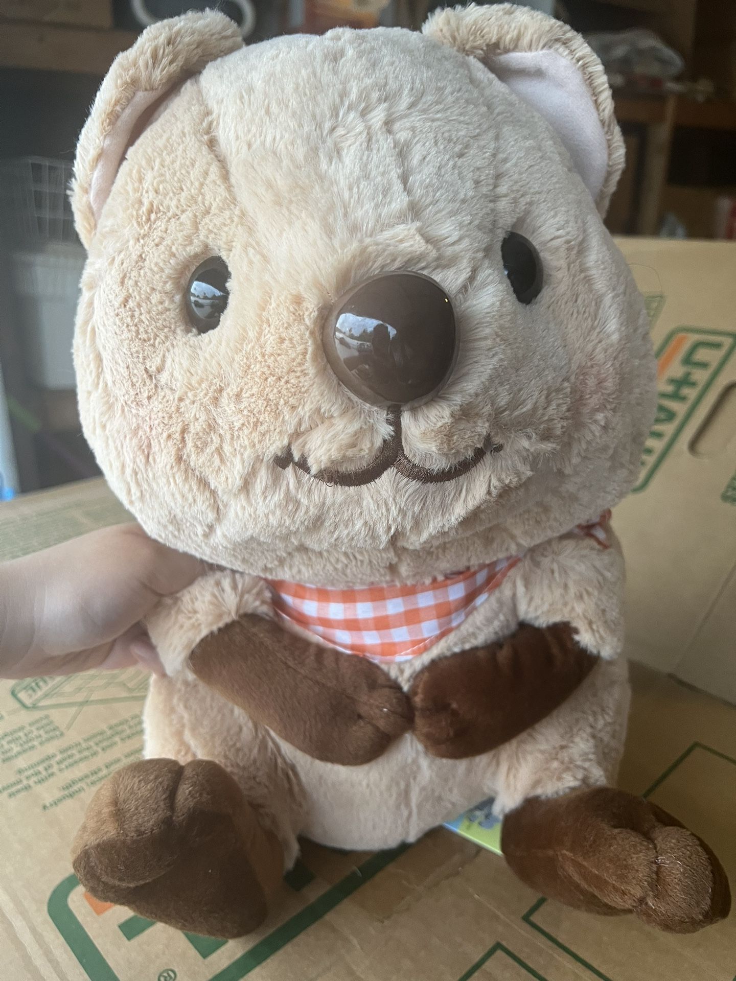 Amuse Quokka Wallaby Plushie Stuffed Animal