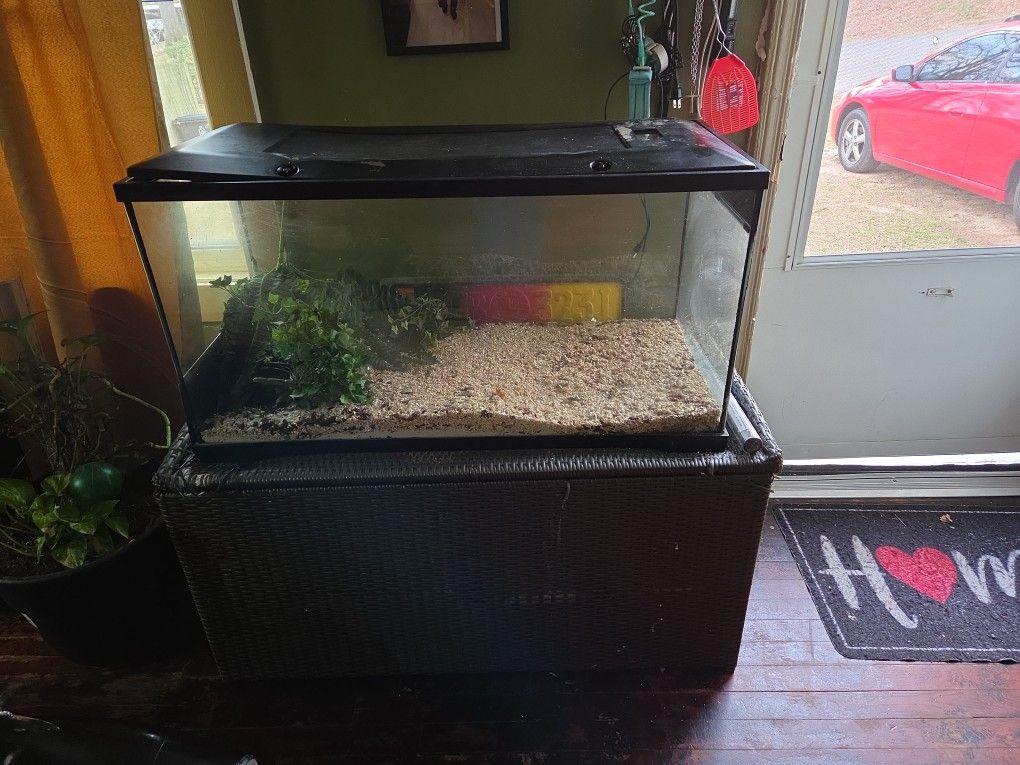 Reptile Aquarium