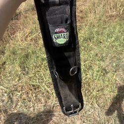 Western chinch weaver