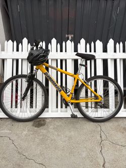 Mountain bike
