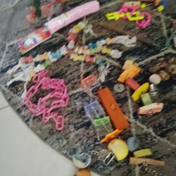 Parrot/Bird Toys 