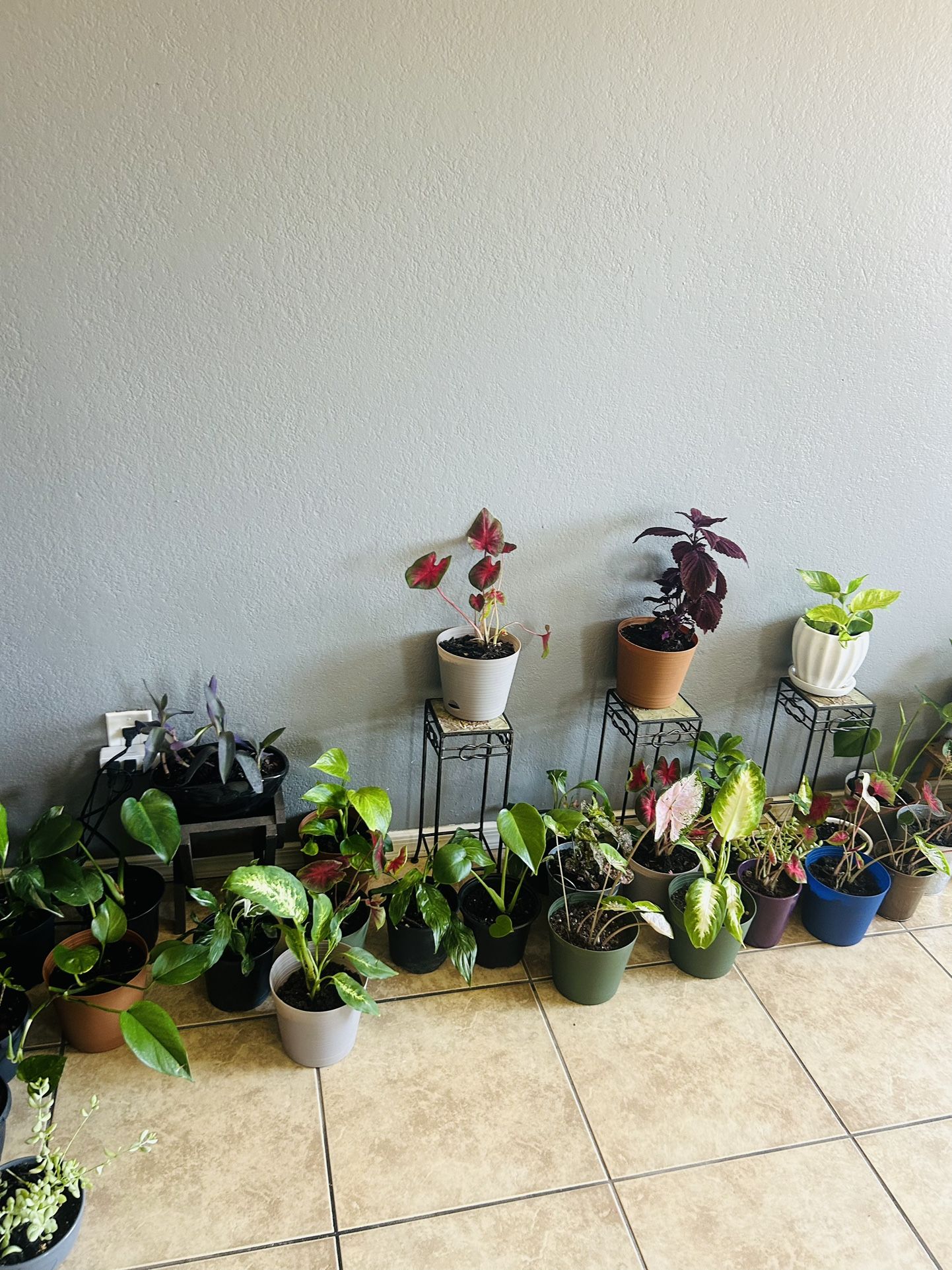 Plans For Sale 10 Each