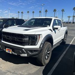 Raptor