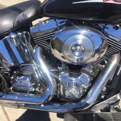 2011 Harley-Davidson Softtaill 