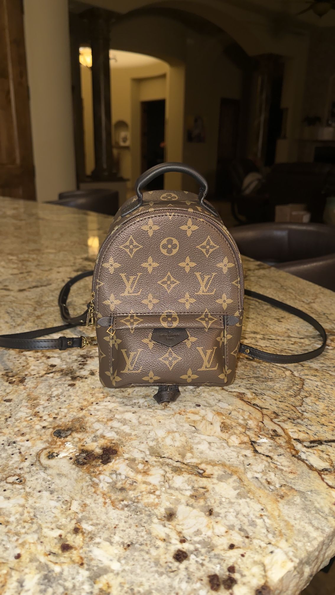 Louis Vuitton Palm Springs Mini Backpack