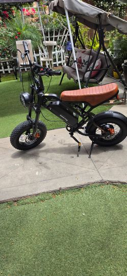 Electric bike/bicicleta electrica