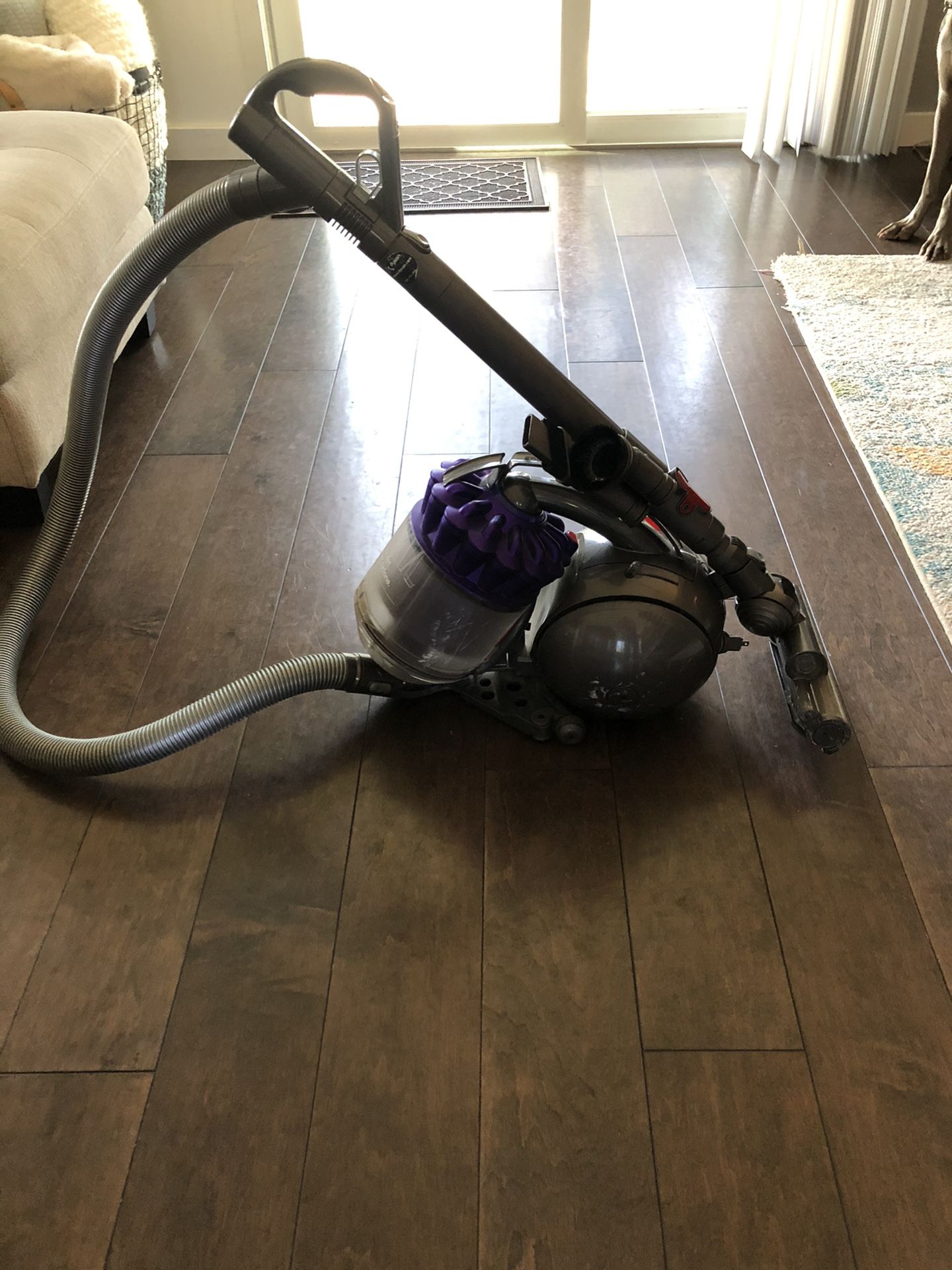 Dyson Cinetic Animal Canister Vacuum