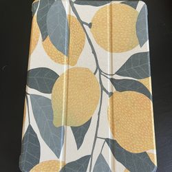 iPad Case