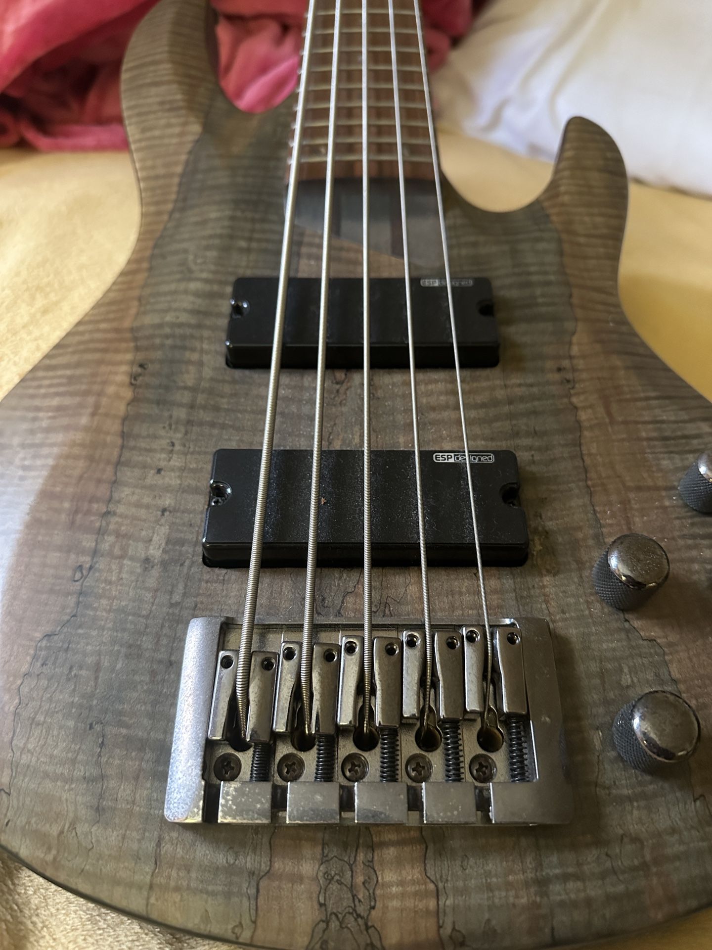 5 String ESP LTD bass