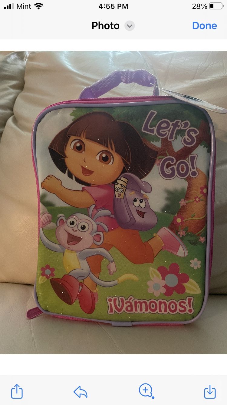 Dora lunch bag