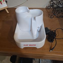 Cat / Small Dog Water Feeder 