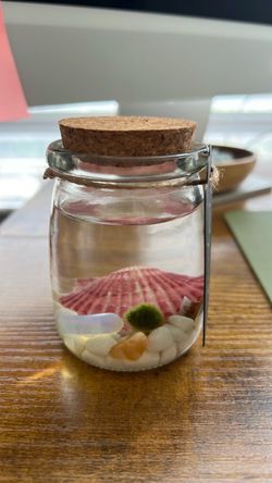 Marimo Moss Ball+Opal Crystal mini aquarium