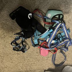 Free Dog Collars 