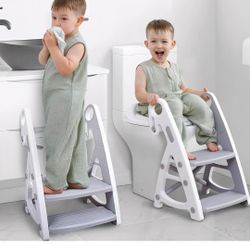 Potty Training Seat With Step Stool $20