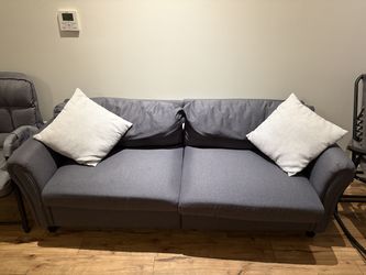 Gray Sofa + 2 Pillows