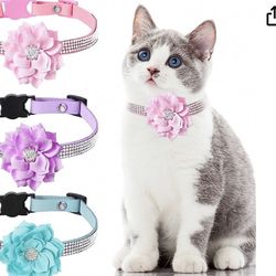 Cat Collars And Dogs 