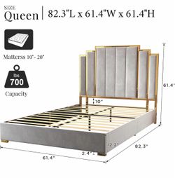 Grey Velvet Upholstered Bed with Gold Trim Headboard