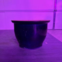 Planter Pot