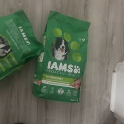 Iams Dog Food 