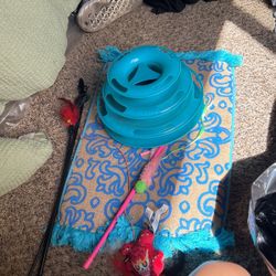 Cat Toys