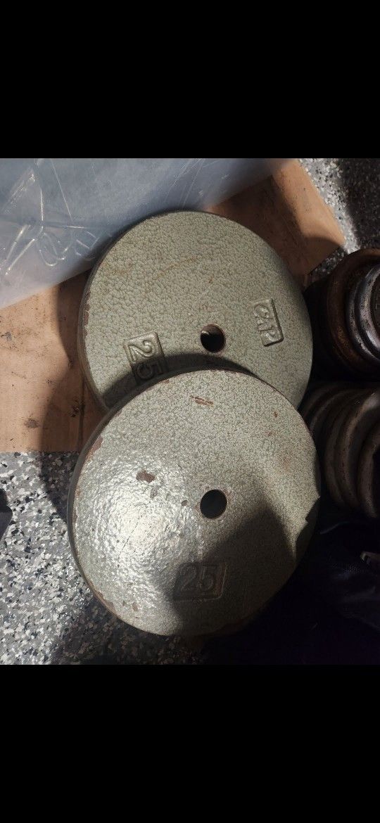 25s Standard Gym Weights $50 Pair