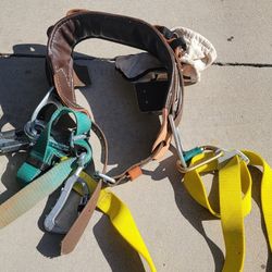 Buckingham Climbing Belt Size 24 With Bucksqueeze