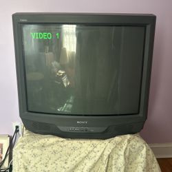 28 inch x 19.5 inch 1999 Sony Trinitron tv (still works) 
