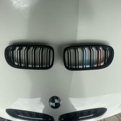 Genuine BMW kidney grilles, gloss black finish with M Sport accent color