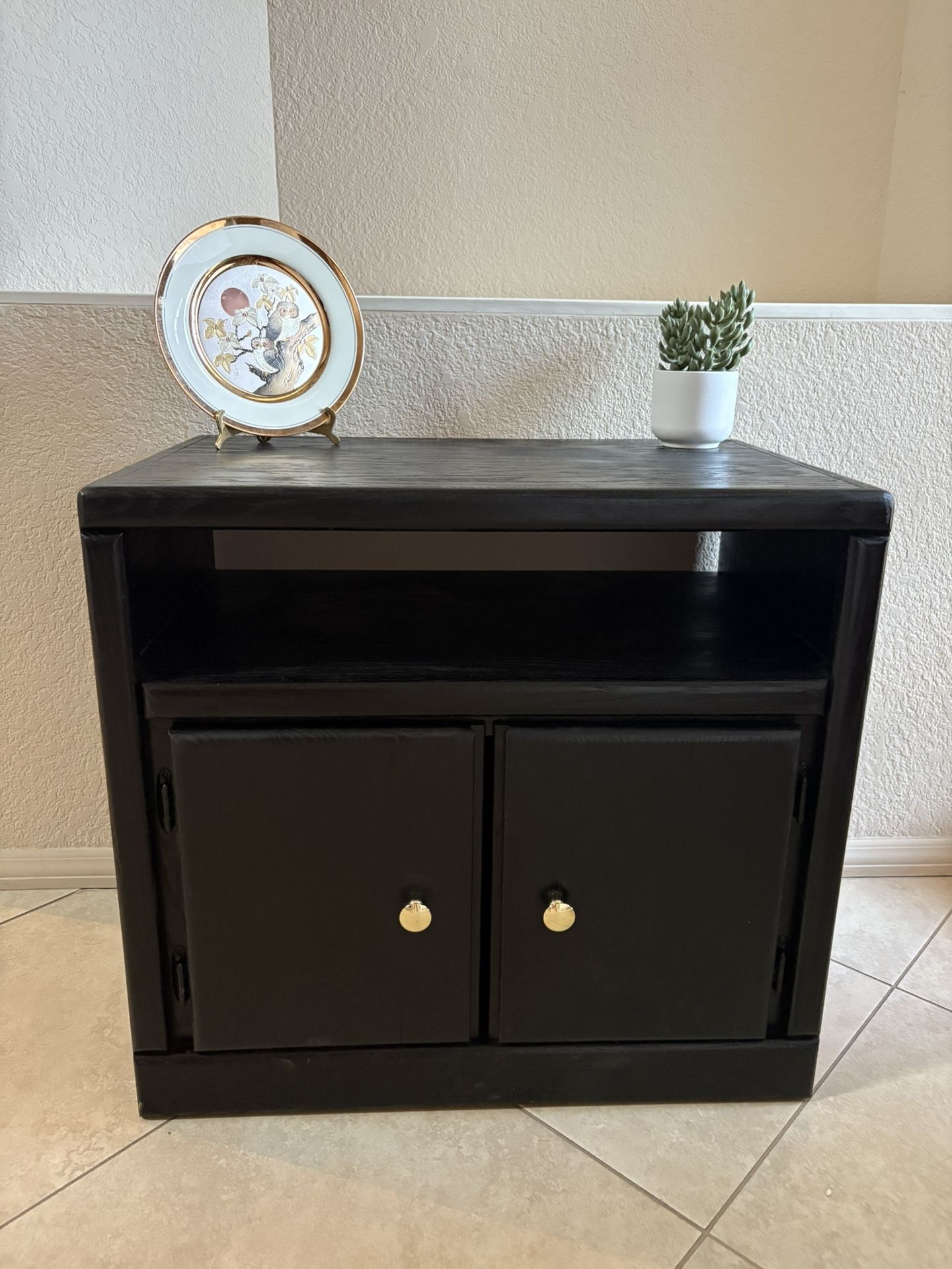 Modern Black Cabinet / Side Table with storage!