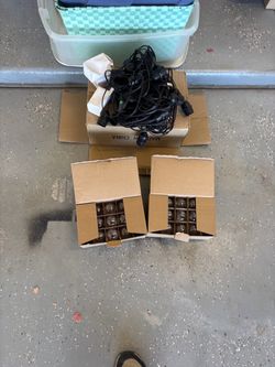 Outdoor String Lights with Bulbs