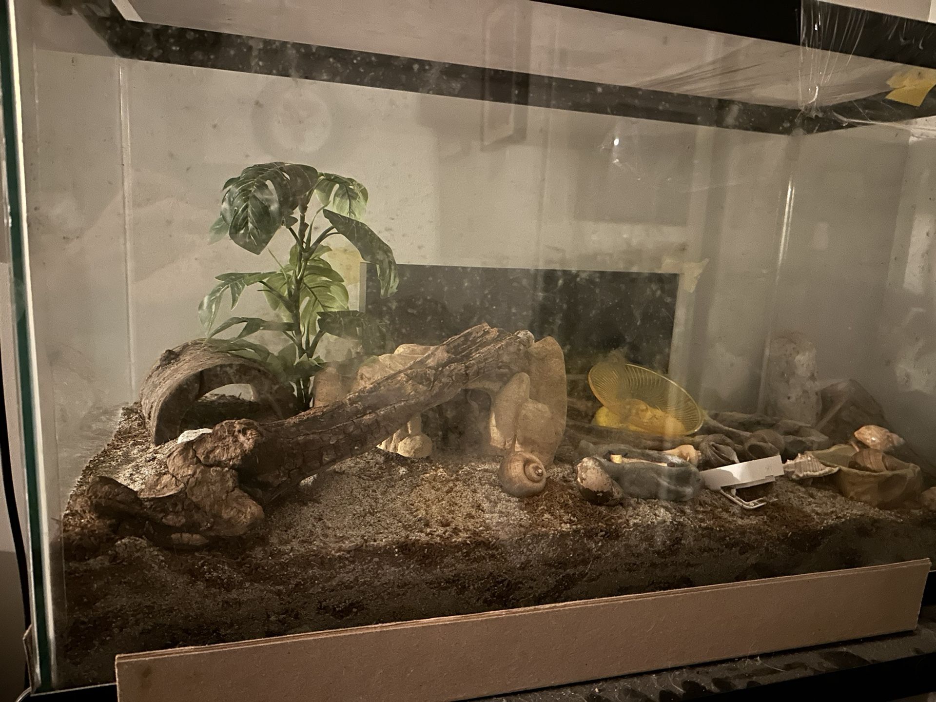 Hermit Crabs, Tank And Supplies 