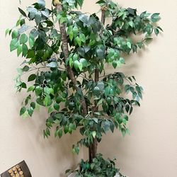 Faux ficus tree