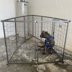 Retriever Dog kennel