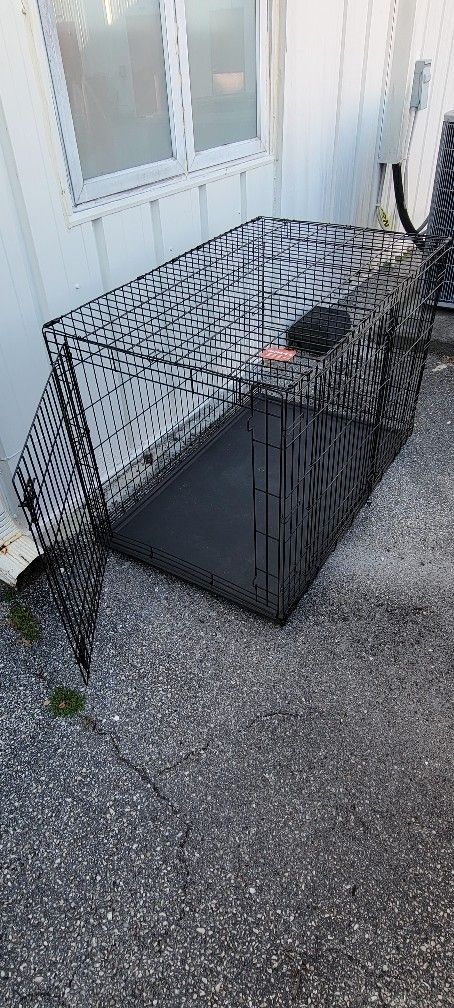 Dog Cage Kong