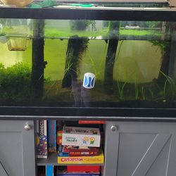 75 gal Fishtank and stand