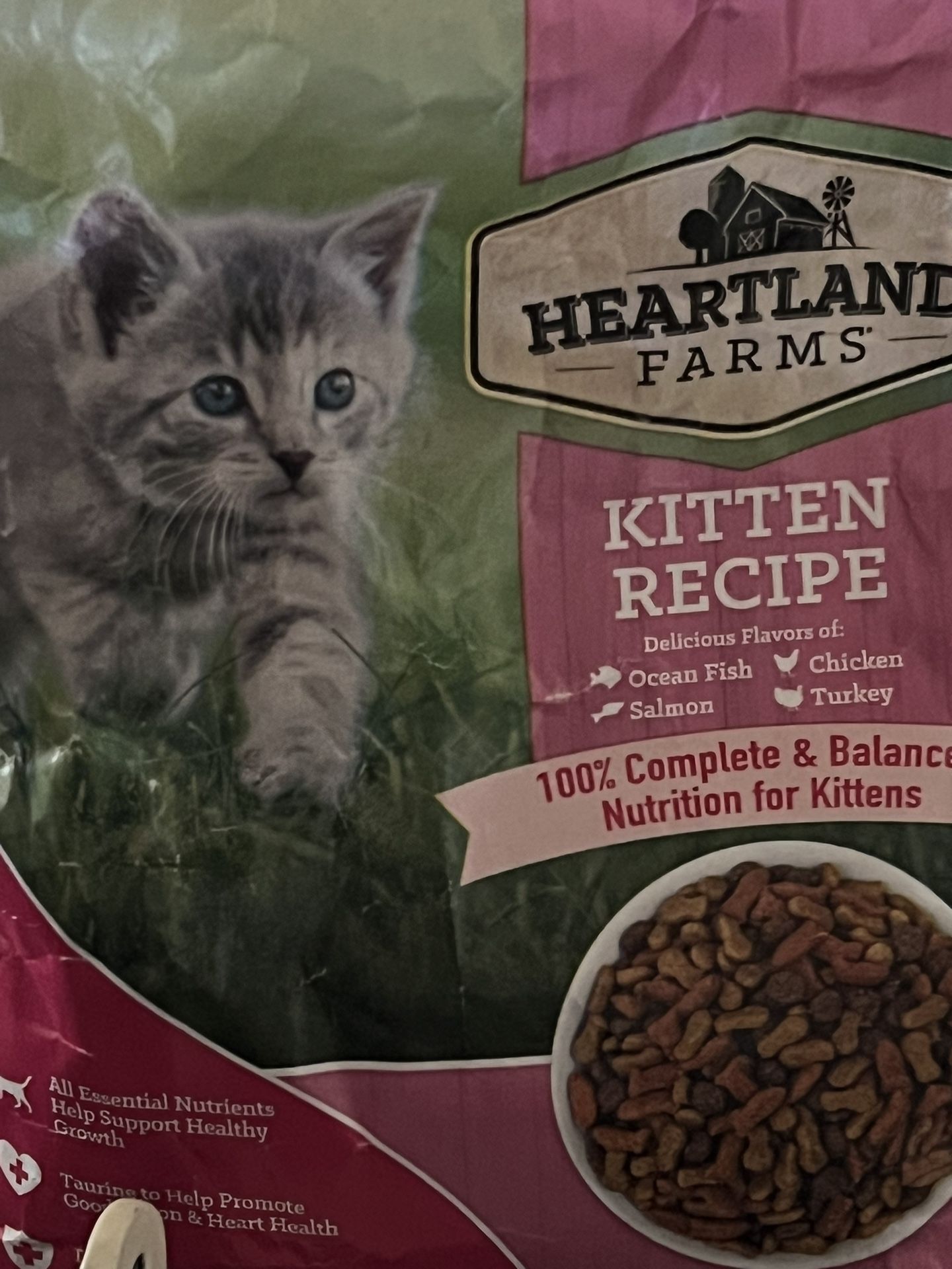Cat Supplies