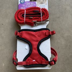 L Red Cat Harness