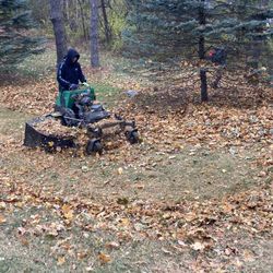 Fall Cleanup 