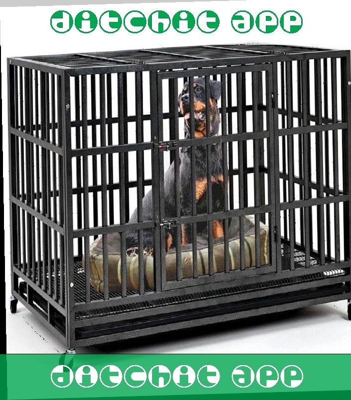 Heavy-Duty Pet Cages - Security and Comfort for Your Animal Buddy above government